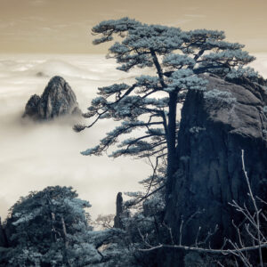 dreams of the misty mount huangshan12